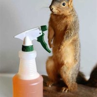 Diy Ground Squirrel Repellent